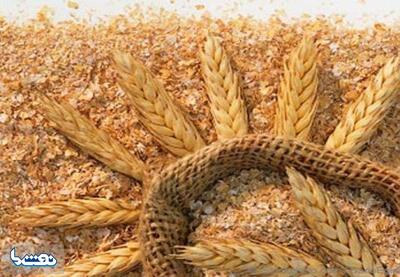 عرضه سبوس در سامانه بازارگاه | نفت ما