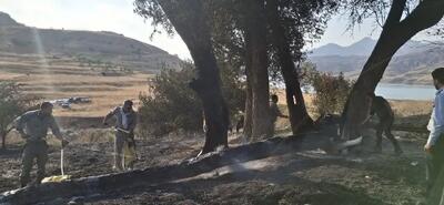  مهار ضربتی حریق در مزارع سد طالقان؛ جلوگیری از فاجعه زیست‌محیطی