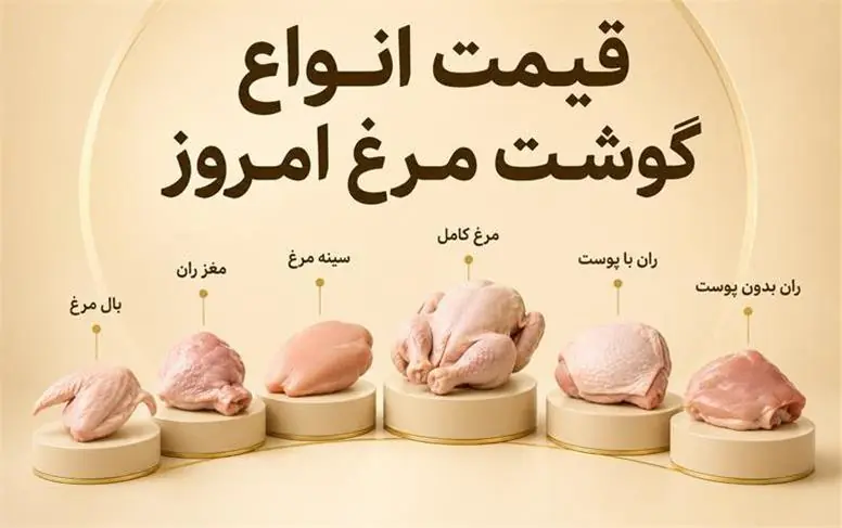  قیمت جدید انواع گوشت مرغ امروز سه‌شنبه ۲۷ مرداد ۱۴۰۵