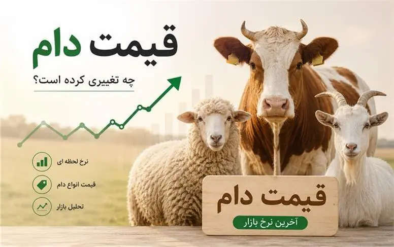 قیمت دام زنده امروز سهشنبه ۲۷ مرداد ۱۴۰۵