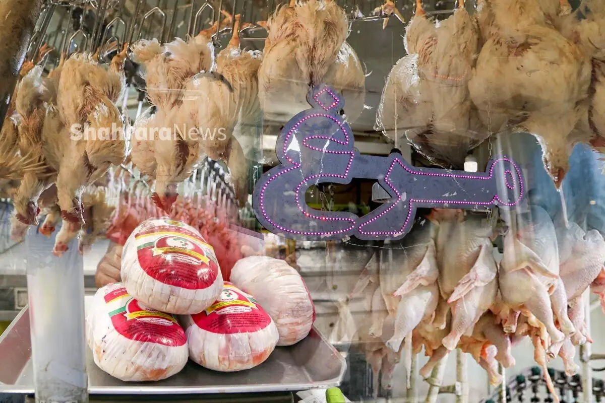 قیمت امروز مرغ، تخممرغ و گوشت در مشهد (۲۷ مرداد ۱۴۰۵) | افت قیمت مرغ و قطعات آن