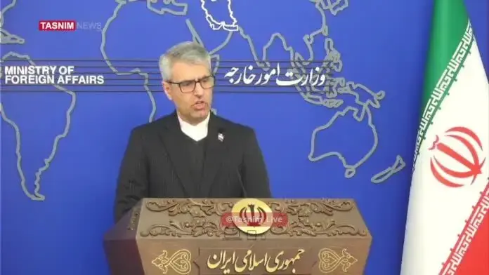 بقایی: فرض ما بر اسارت خلبانان است