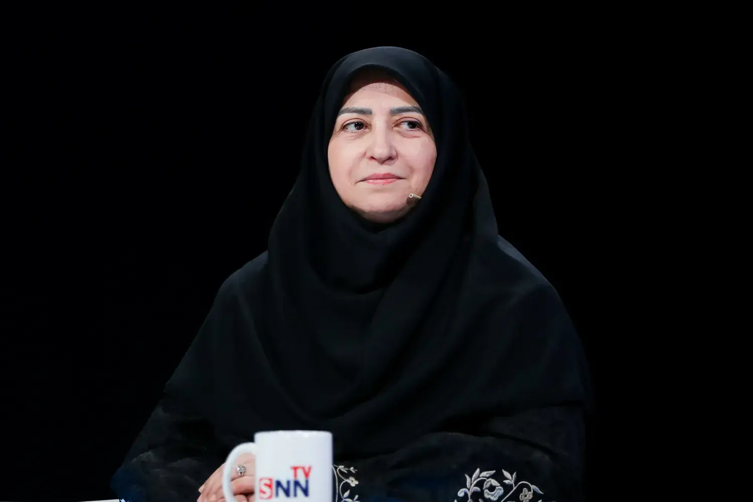 شینا انصاری وارد هند شد