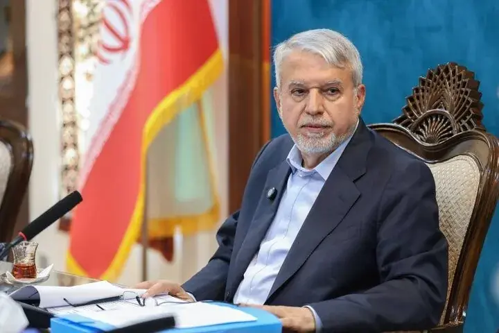 وزیر میراث فرهنگی: صنایع خلاق باید از مرحله کاشت به برداشت برسد