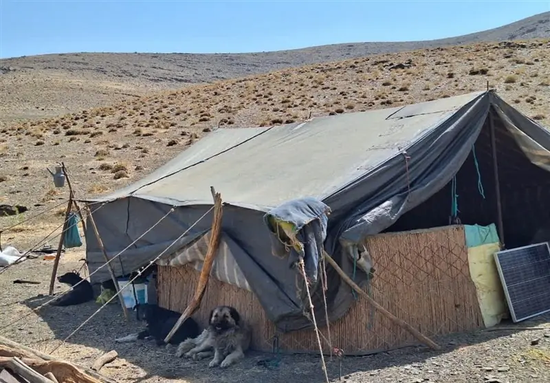 اشتغال عشایر سمنان به تحقق 98.67 درصدی رسید - تسنیم