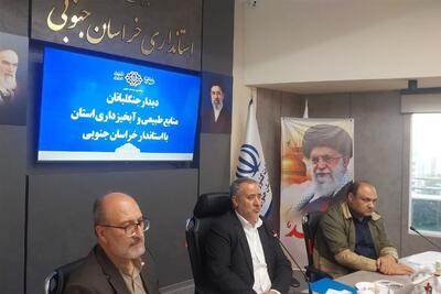 مشارکت مردم، رمز موفقیت در حفاظت از منابع طبیعی خراسان جنوبی - تسنیم