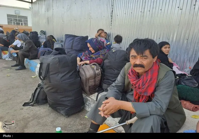 مشاور وزیر کشور: حضور 4.8 میلیونی اتباع در کشور - تسنیم