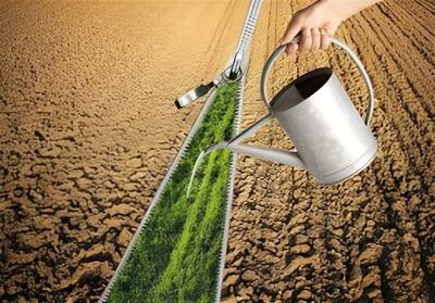 برای توسعه کشاورزی حتی یک قطره آب اضافه نداریم - تسنیم