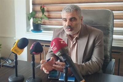  کمبود نیروی کار توسعه نوغان‌داری لاهیجان را تهدید می‌کند - تسنیم