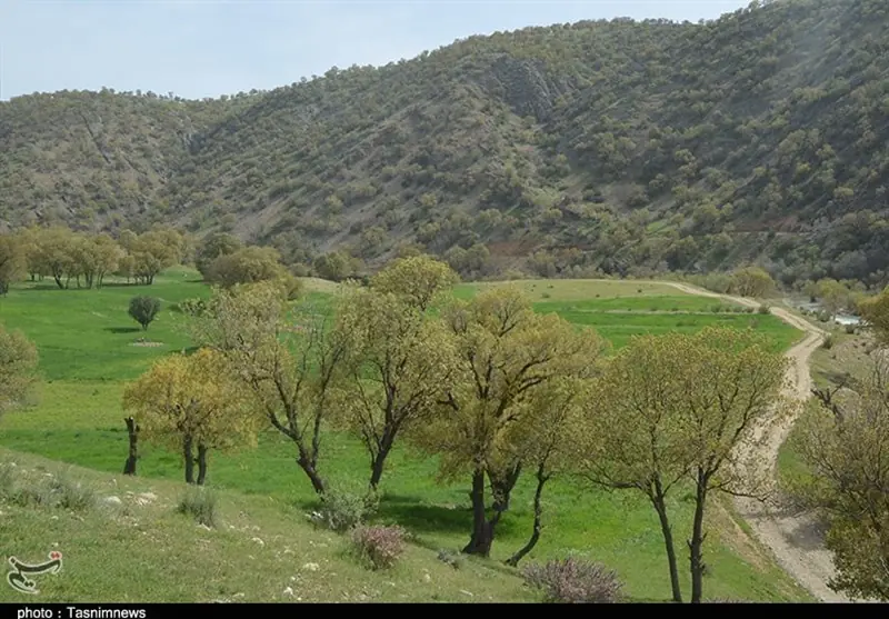 تیغ تیز زمینخواری بر گلوی طبیعت کهگیلویه و بویراحمد - تسنیم