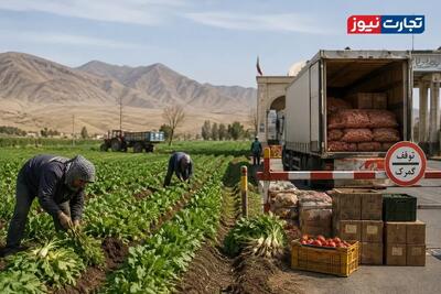 بازار دیگر تعیینکننده قیمت نیست / موانع گمرکی و توقف در مرزها به کشاورزان خسارت میزند