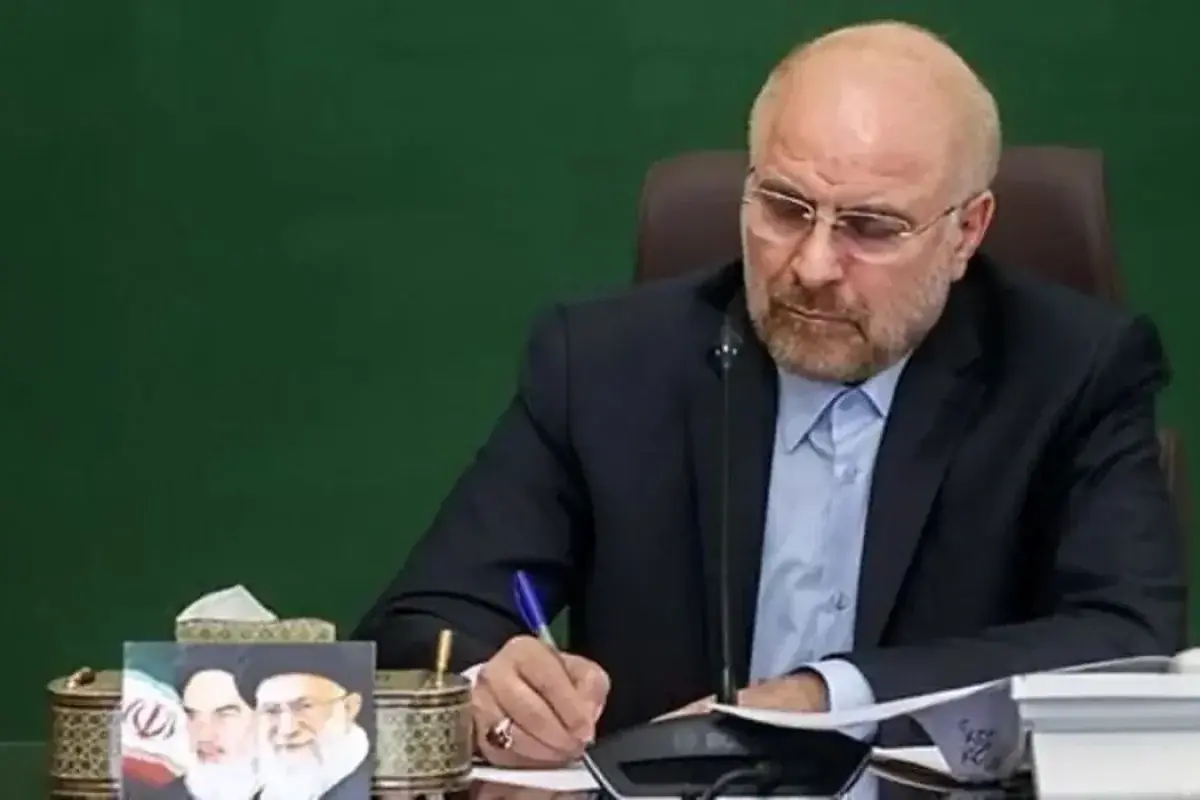 رئیس مجلس فردا به عراق سفر میکند