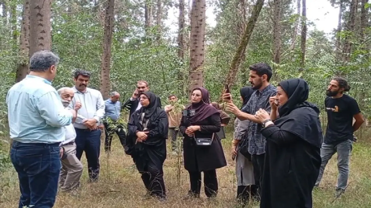 برگزاری تور رسانهای بازدید از عرصههای جنگلکاری مشارکتی در شهرستان کردکوی
