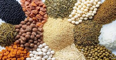 تأکید مدیر شیلات قزوین بر ارتقای کیفیت و تأمین پایدار خوراک آبزیان