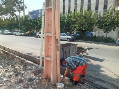 عملیات گسترده طعمهگذاری جانوران مضر در شهرقدس