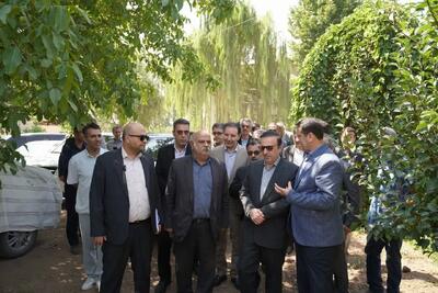  بازدید استاندار قزوین از مزرعه نمونه جمال‌آباد در روستای قدیمی‌آباد