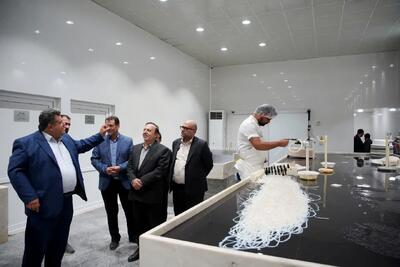 بازدید استاندار از واحد صادراتی آنا تجارت حقیقت و بررسی چالشهای تولید