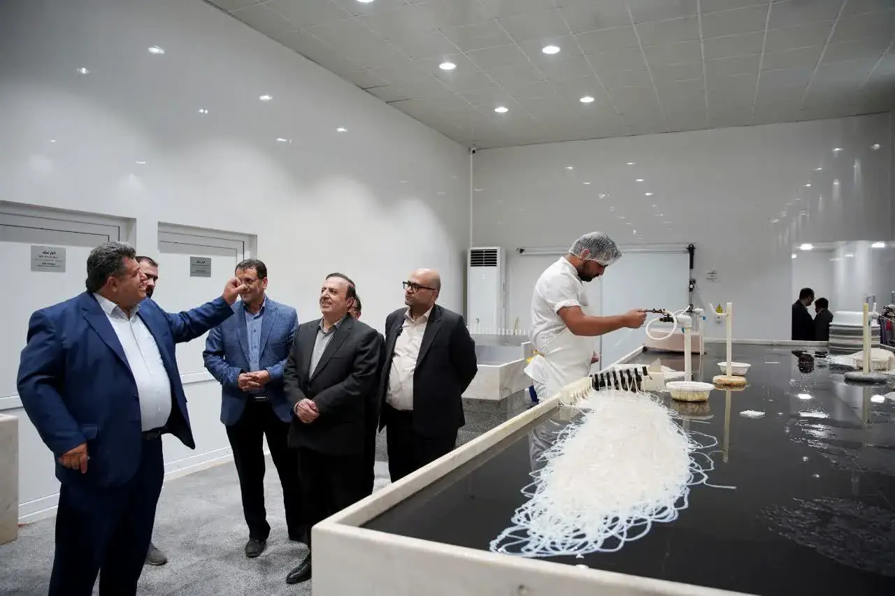 بازدید استاندار از واحد صادراتی آنا تجارت حقیقت و بررسی چالشهای تولید