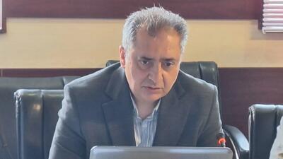 رشد ۱۳.۷ درصدی ورزشکاران بیمهشده قزوین؛ جمعیت ورزشکاران سازمانیافته به ۹۷ هزار و ۸۴۱ نفر رسید
