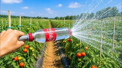 نحوه ساخت آبپاش بارانی با بطری نوشابه؛ آبیاری آسان و کم خرج برای باغچه