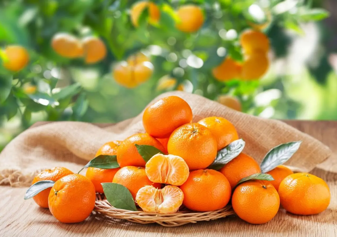 ۱۰۰ گرم نارنگی چند کالری دارد ؟