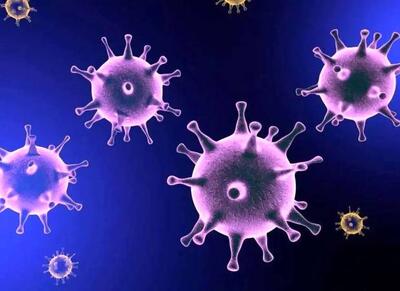 افزایش بیماریهای عفونی پس از تجمعات گسترده - اکونیوز