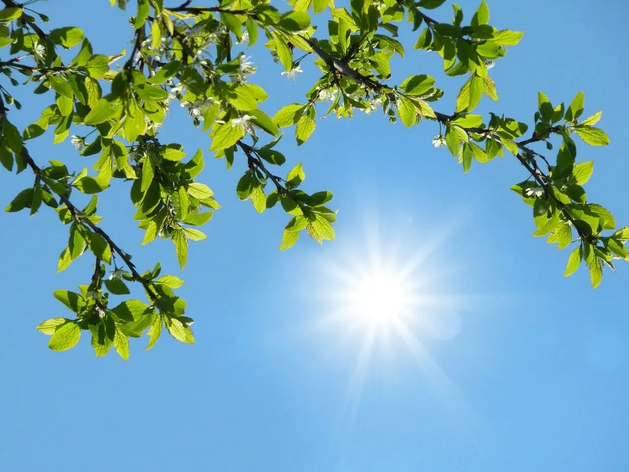 گزارش هواشناسی امروز ۲۸ مرداد ۱۴۰۵