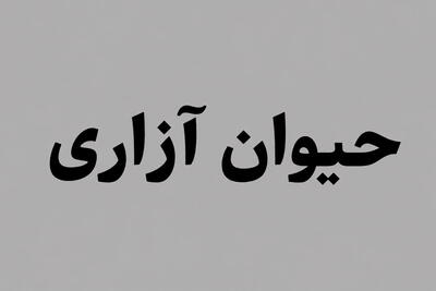 بازداشت فرد حیوانآزار در تالش | انصاف نیوز