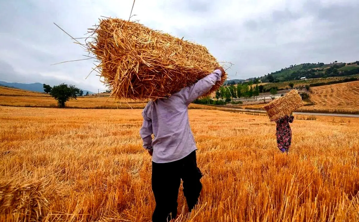 سایه قبض ۴۰۰ میلیونی بر سر کشاورزان