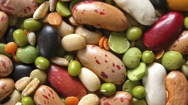 سقوط آزاد قیمت حبوبات در بازار