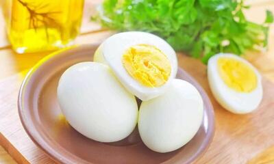  اگر هر روز تخم‌مرغ می‌خورید، این مطلب را حتما بخوانید