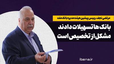  مرتضی نجف: بانک ها تسهیلات دادند،مشکل از تخصیص است