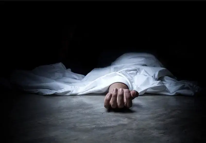 قاتل زن ۵۸ ساله در شهرستان مهر دستگیر شد
