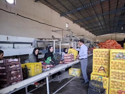 صدور مجوز بهرهبرداری ۱۸ واحد صنایع تبدیلی و غذایی در مازندران طی ۵ ماه نخست امسال