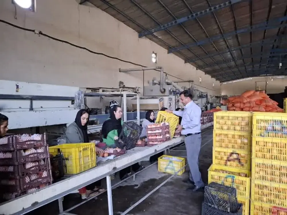 صدور مجوز بهرهبرداری ۱۸ واحد صنایع تبدیلی و غذایی در مازندران طی ۵ ماه نخست امسال