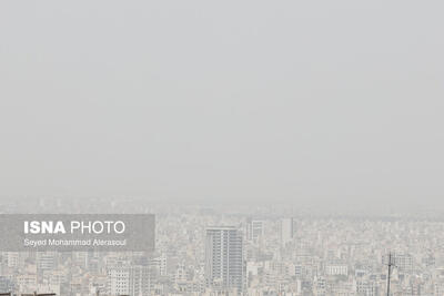 راهکار پژوهشگران دانشگاه تهران برای اندازهگیری آلایندههای خطرناک شهری