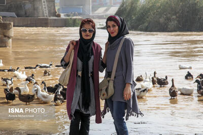 از من عکس بگیر!