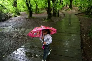 رگبار باران در شمال کشور
