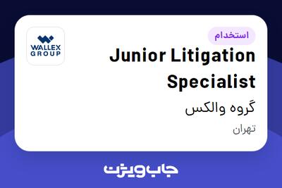 استخدام Junior Litigation Specialist در گروه والکس
