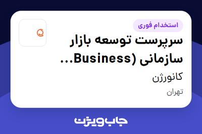 استخدام سرپرست توسعه بازار سازمانی (Business Development Lead) در کانورژن