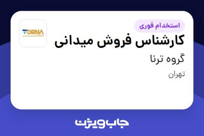 استخدام کارشناس فروش میدانی در گروه ترنا
