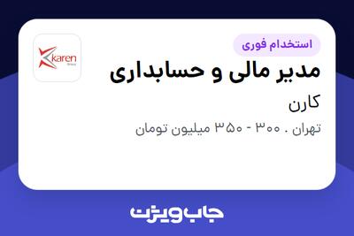  استخدام مدیر مالی و حسابداری در کارن