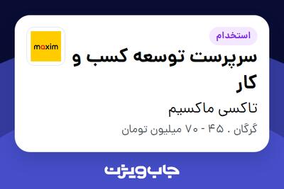  استخدام سرپرست توسعه کسب و کار در تاکسی ماکسیم