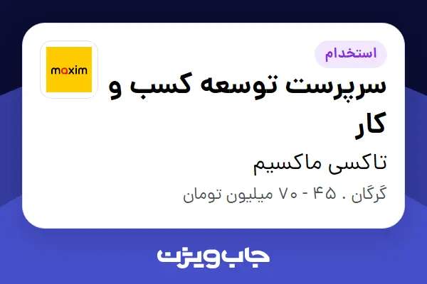 استخدام سرپرست توسعه کسب و کار در تاکسی ماکسیم