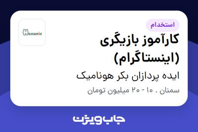 استخدام کارآموز بازیگری (اینستاگرام) در ایده پردازان بکر هونامیک
