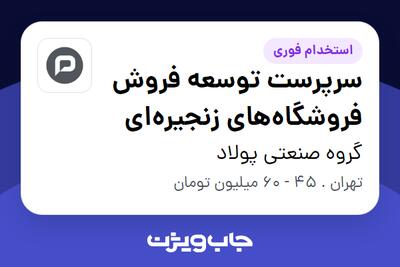 استخدام سرپرست توسعه فروش فروشگاههای زنجیرهای در گروه صنعتی پولاد