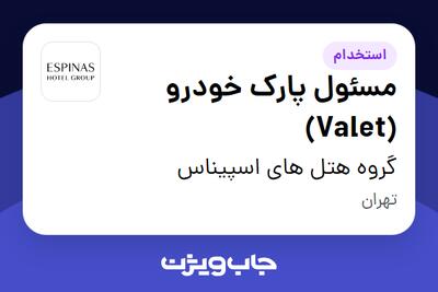 استخدام مسئول پارک خودرو (Valet) - آقا در گروه هتل های اسپیناس