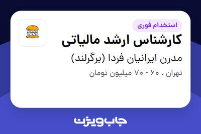 استخدام کارشناس ارشد مالیاتی در مدرن ایرانیان فردا (برگرلند)