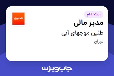 استخدام مدیر مالی در طنین موجهای آبی