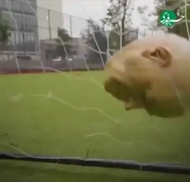 فوتبال بازی کردن چند آمریکایی با سر نتانیاهو/ ویدئو